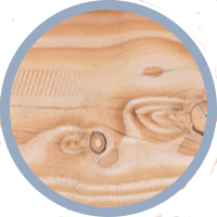 Douglasie unbehandelt